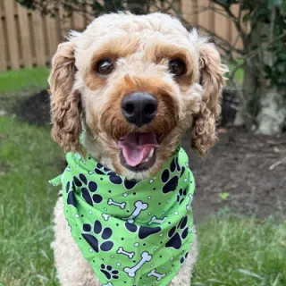 Oliver