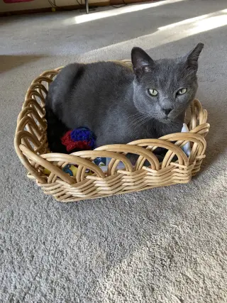Romeo