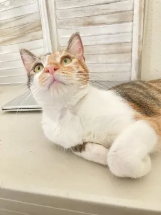 Hazel.