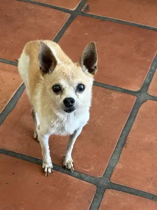 Atom
