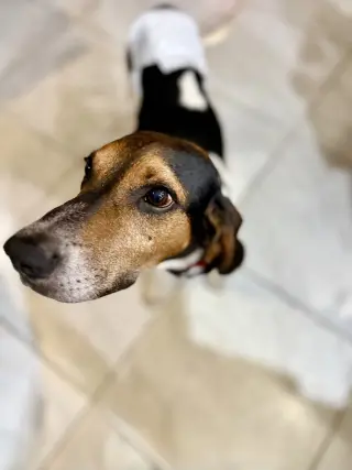 Herby
