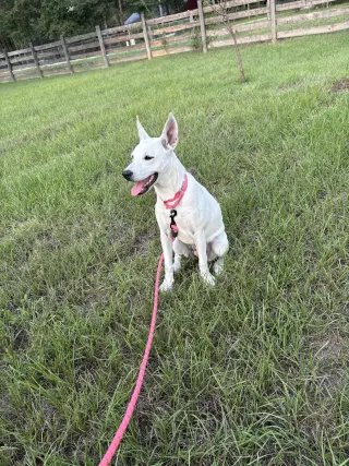 Luna Bean