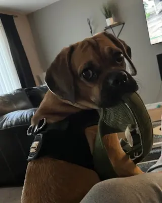 Romeo
