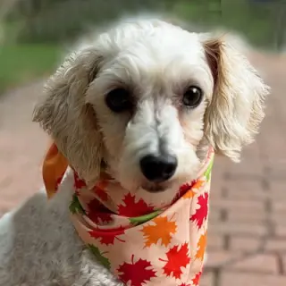 Barnaby