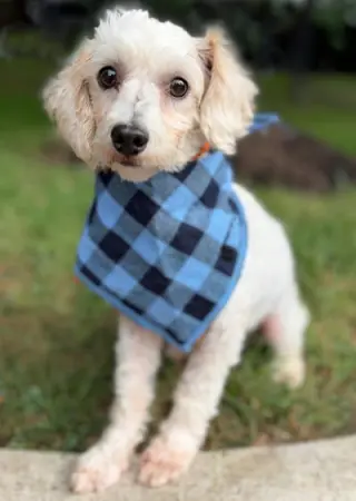 Barnaby