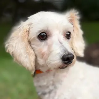 Barnaby