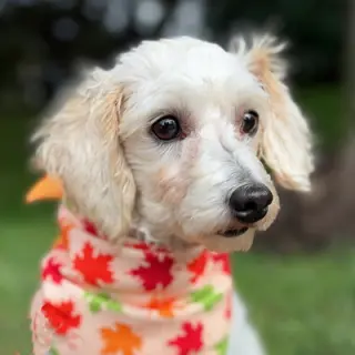 Barnaby
