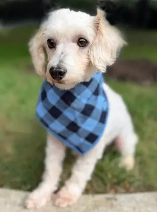 Barnaby