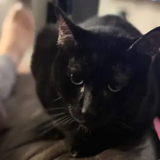 Jack Jack