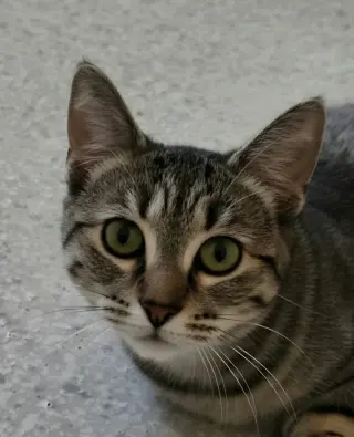 Samantha