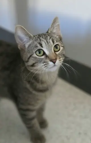 Samantha