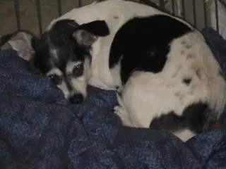 Matilda