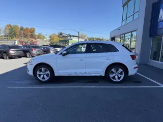 2019 Audi Q5