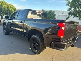 Chevrolet Silverado 1500 2020 4x4 LT Trail Boss 4dr Crew Cab 5.8 ft. SB