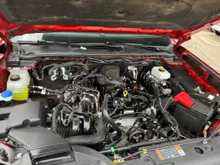 2024 Ford Ranger XLT 4WD SuperCrew 5' Box