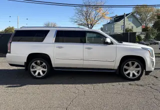2019 Cadillac Escalade ESV 4WD 4dr Premium Luxury