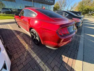 Ford Mustang 2022 EcoBoost 2dr Fastback