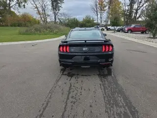 Ford Mustang 2019 GT Premium 2 Fastback