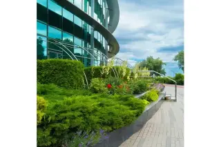 🌴 PROFESSIONAL LANDSCAPING IN LAS VEGAS! 🌴