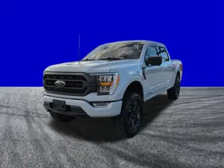 Ford F-150 2023 4x4 XLT 4dr SuperCrew 6.5 ft. SB