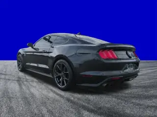 Ford Mustang 2022 EcoBoost 2dr Fastback