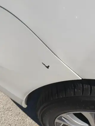 Toyota Sienna 2019 XLE 7-Pasajeros Asiento de Acceso Automático 4dr Mini-Van
