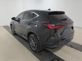 Lexus NX 250 2023 4dr Crossover
