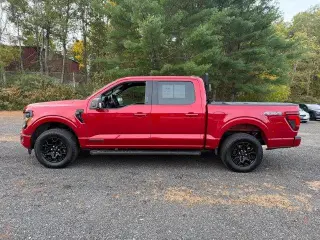 Ford F-150 2024 4x4 XLT 4dr SuperCrew 5.5 ft. SB