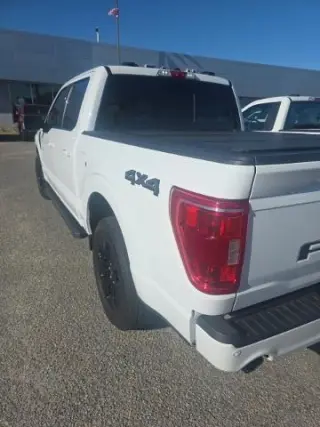 Ford F-150 2022 4x4 XLT 4dr SuperCrew 6.5 ft. SB