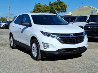 Chevrolet Equinox 2021 4x4 LS 4dr SUV w/1LS