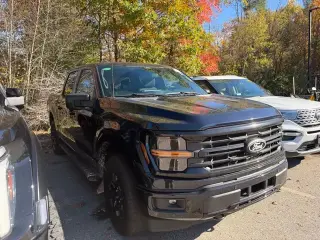 Ford F-150 2024 4x4 XLT 4dr SuperCrew 5.5 ft. SB