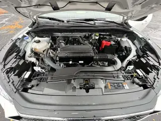 Ford Escape 2024 AWD ST-Line 4dr SUV