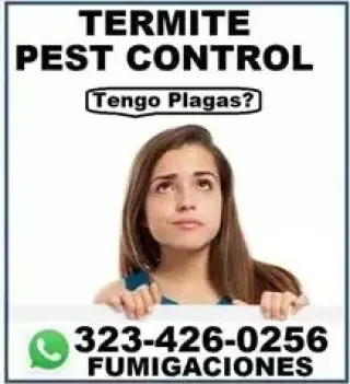 FUMIGADORES LOS ANGELES 24/7.