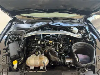 Ford Mustang 2019 BULLITT 2d Fastback