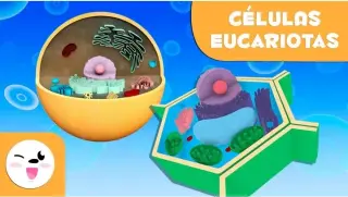 Clases de química y bioquímica