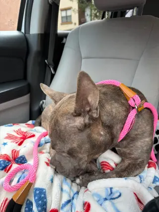 Hera