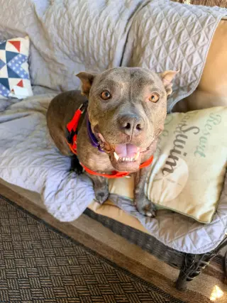 Hera