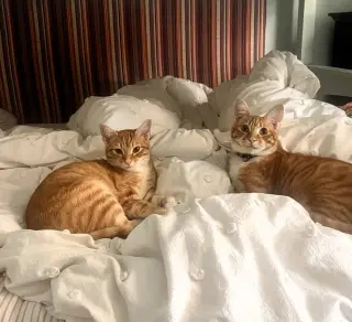 Larry & Gary