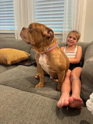 Bowser (previously known as GG)