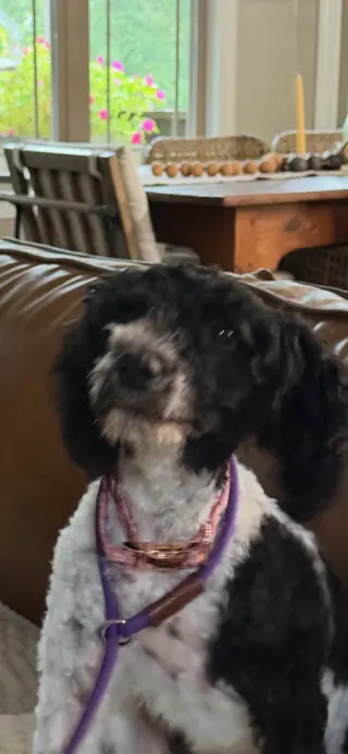 Lulu