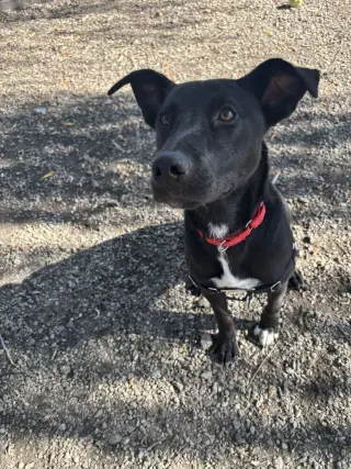 Luna