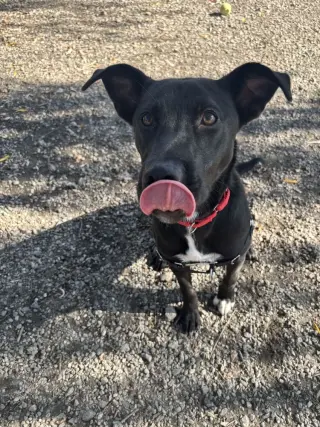 Luna