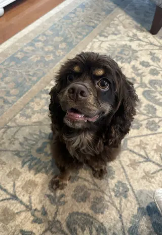 Georgia
