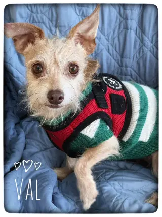 Val
