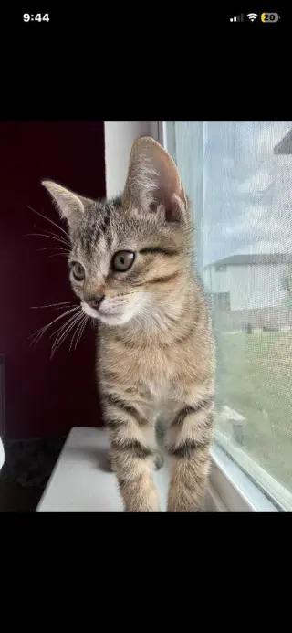 Riley