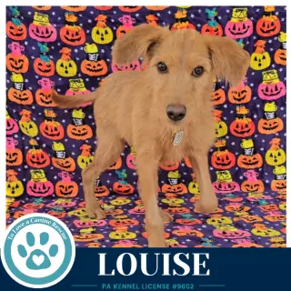 Louise 101726