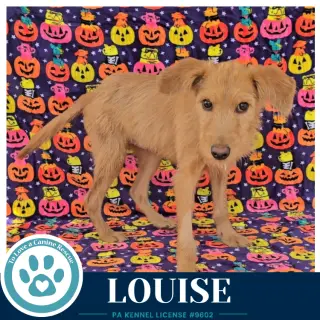 Louise 101726