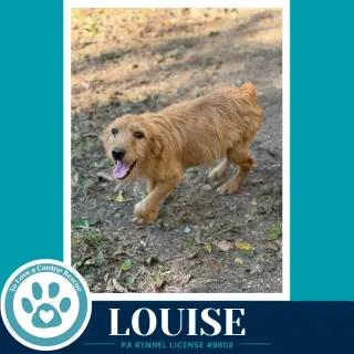 Louise 101726
