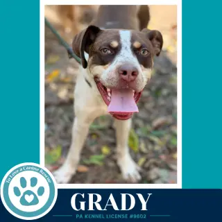 Grady 101726
