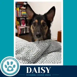 Daisy (Mom to the Triple D's) 101726